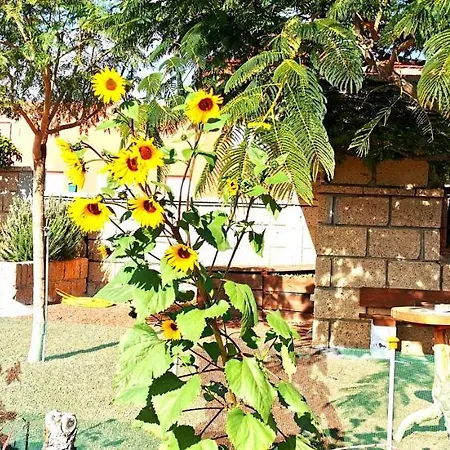 Vakantiehuis Casa Del Sur, En El Sur De Tenerife *