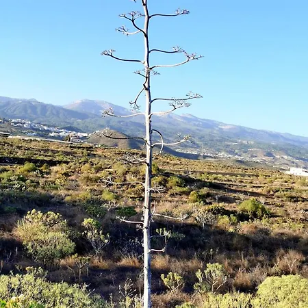Casa Del Sur, En El Sur De Tenerife Hébergement de vacances *
