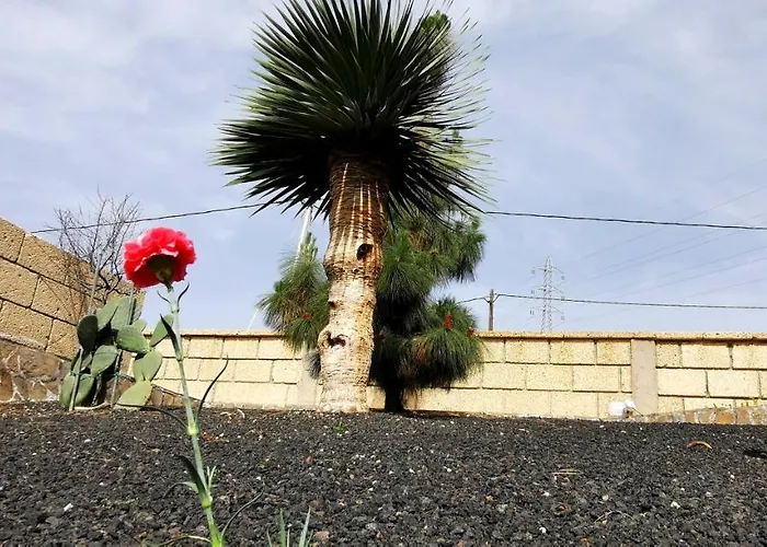 Casa Del Sur, En El Sur De Tenerife Granadilla de Abona