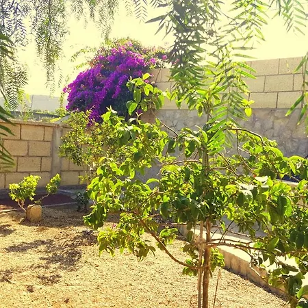 Casa Del Sur, En El Sur De Tenerife Holiday home