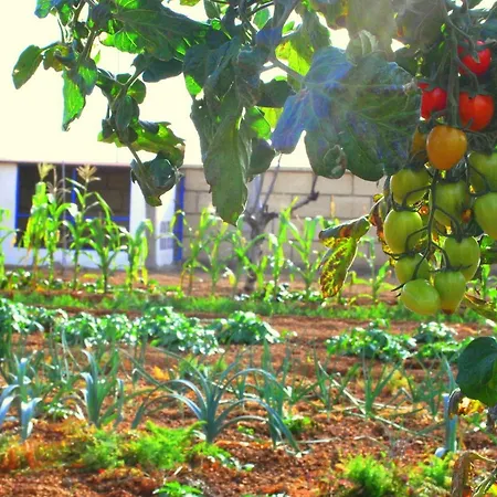 Dom wakacyjny Casa Del Sur, En El Sur De Tenerife *