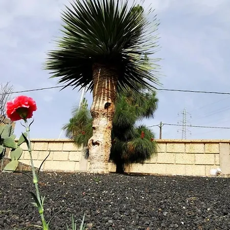 Casa Del Sur, En El Sur De Tenerife غراناديا دي أبونا