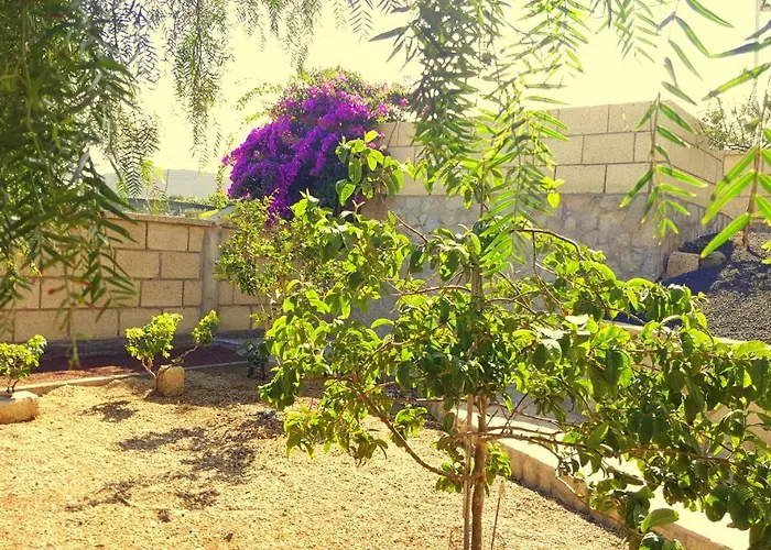 Casa Del Sur, En El Sur De Tenerife Holiday home