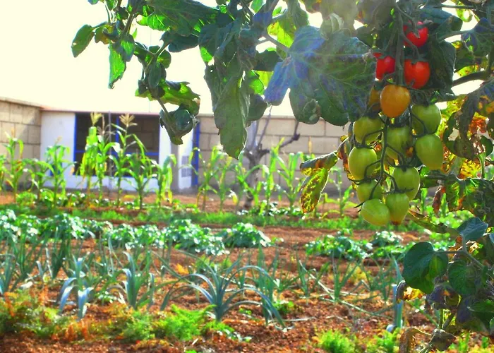 Holiday home Casa Del Sur, En El Sur De Tenerife *