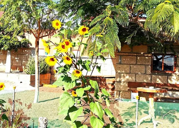 Holiday home Casa Del Sur, En El Sur De Tenerife *