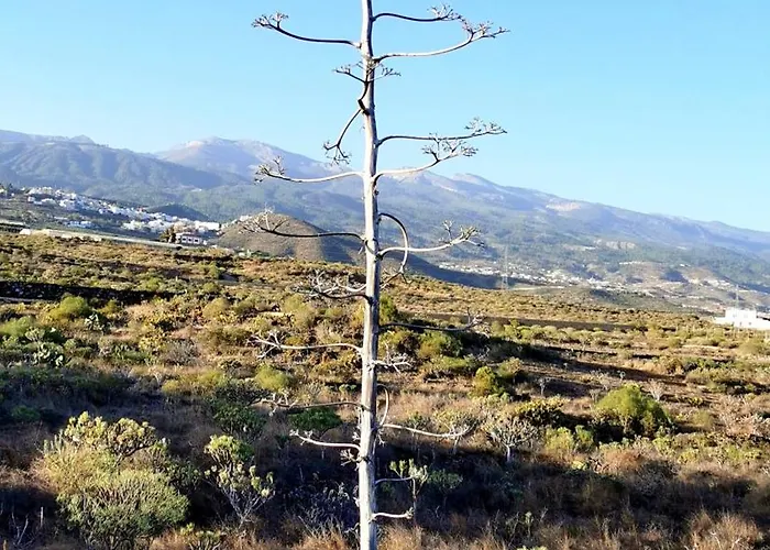 Casa Del Sur, En El Sur De Tenerife Prázdninový dům *