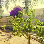 Casa Del Sur, En El Sur De Tenerife Prázdninový dům