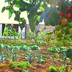 Prázdninový dům Casa Del Sur, En El Sur De Tenerife *