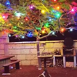 Casa Del Sur, En El Sur De Tenerife Prázdninový dům *