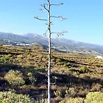 Casa Del Sur, En El Sur De Tenerife Prázdninový dům *